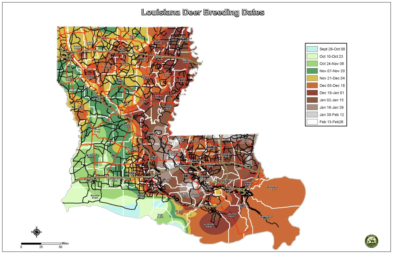 Map of Louisiana shaded by deer breeding dates in two-week blocks: earliest in green in the southwest and along the Gulf, yellow and orange across the north, dark red and brown in the Delta and Florida Parishes, and grey in the Mississippi and Atchafalaya bottoms.